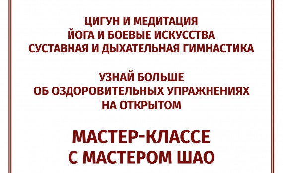 Мастер-класс по кунг-фу 09.02.20